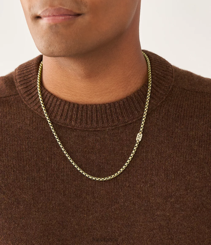 Fossil Hommes ton d'or collier chaîne aventurier en acier inoxydable bijoux 0ZTD41911